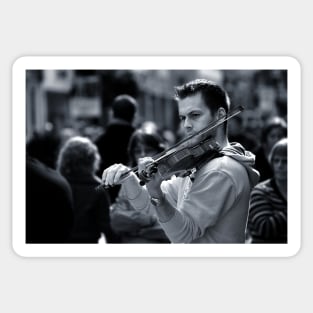 Violinist Sticker